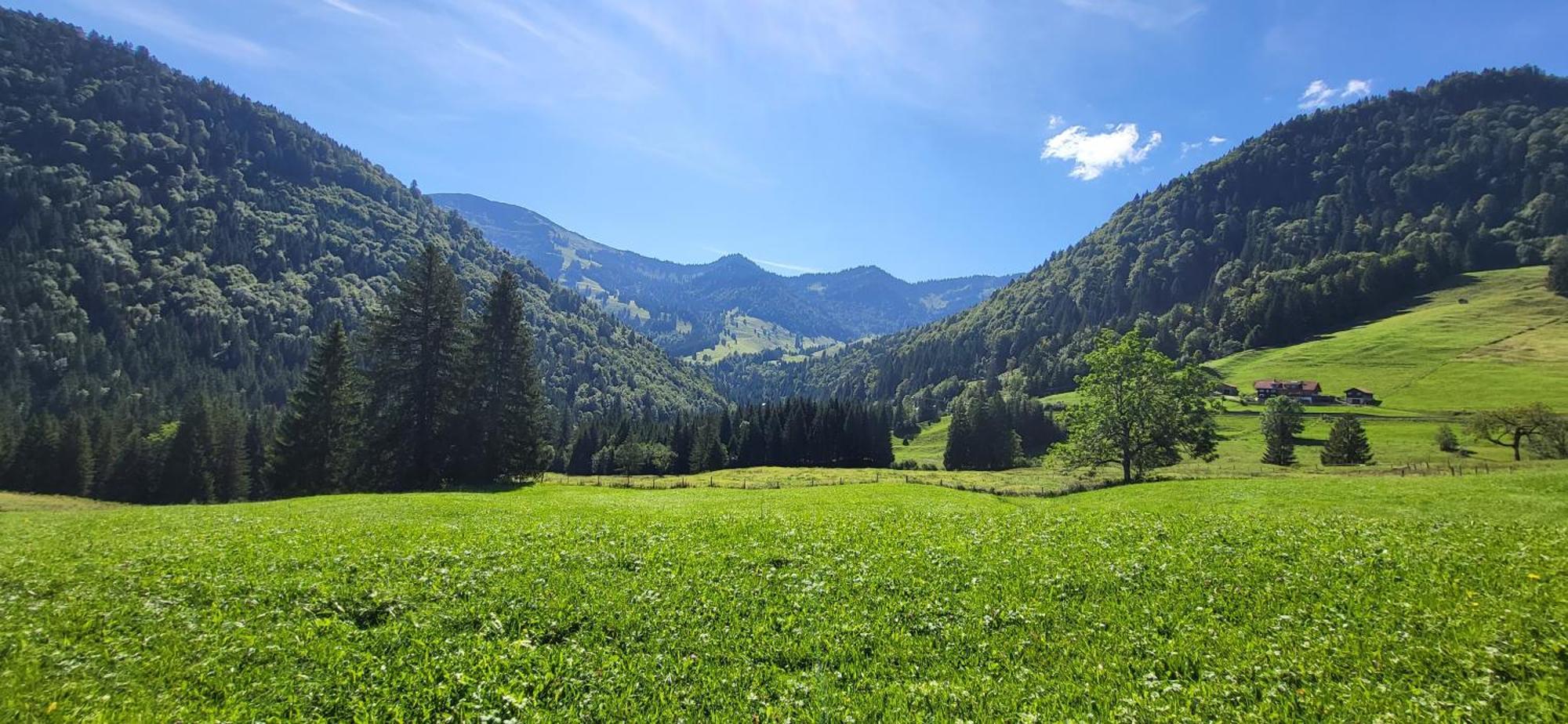 Fewo Allgaeuzeit Mit Wlan Oberstaufen Steibis Exterior foto